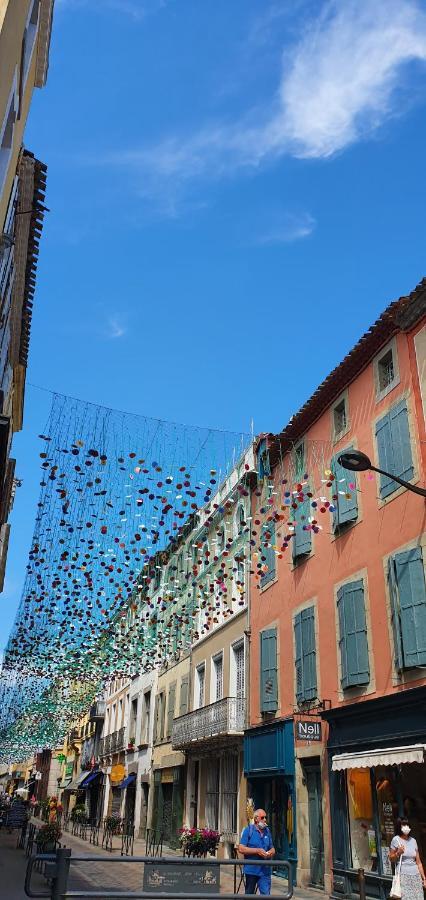 Chez Mamita : Appartement Dans Quartier Calme. Carcassonne Exteriör bild